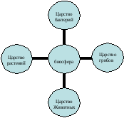 Нарисуйте схему связь биосферы с другими оболочками земли 6 класс