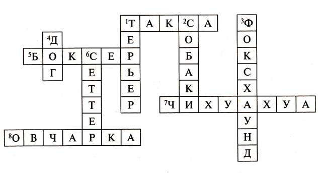 Кроссворд породы