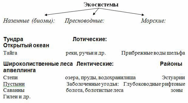 Сравните водные и наземные экосистемы на рисунке и заполните таблицу