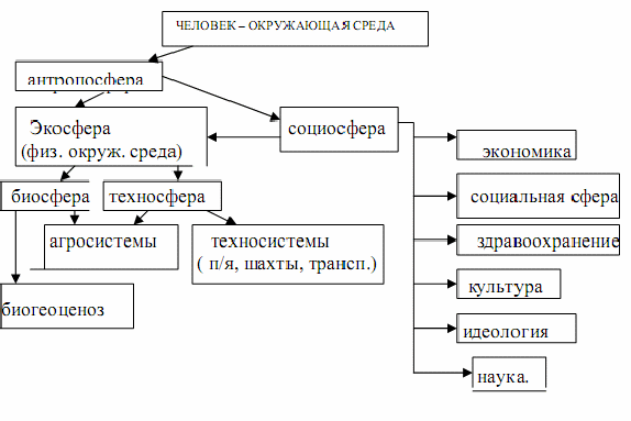 Изобразите схему взаимодействий между компонентами окружающей среды процессами и явлениями