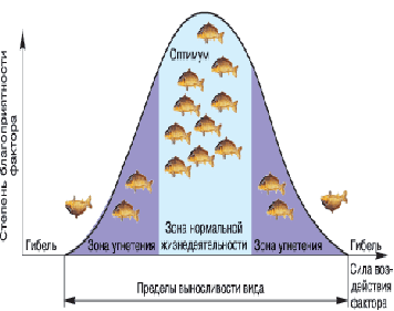 Зона оптимума. Зоны оптимума угнетения и гибели. Закон оптимума-пессимума рисунок. Толерантность, зоны оптимума и пессимума.. Зона оптимума зона пессимума предел выносливости вида.