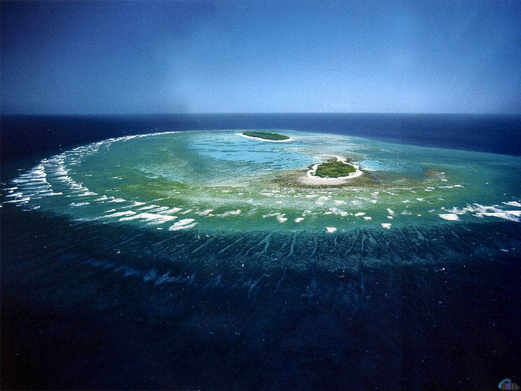 Great Barrier Reef Pictures.