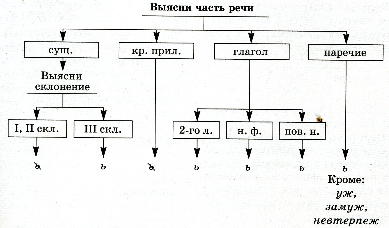 Ь знак после шипящих в разных частях речи презентация