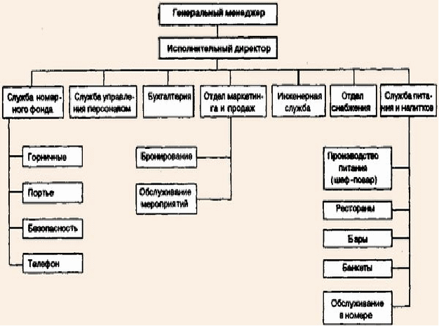 Структура службы приема и размещения в гостинице схема