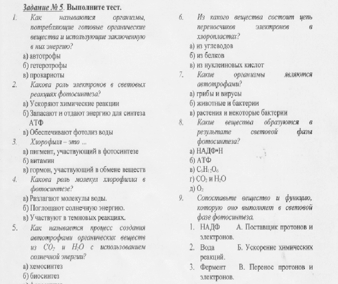 Контрольная по биологии 6 класс фотосинтез. Тест по биологии 6 класс дыхание растений. Тест по биологии 6 класс фотосинтез и дыхание. Тест по биологии витамины. Тест по биологии 8 класс витамины.