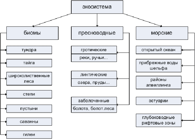 Схема многообразие биогеоценозов экосистем