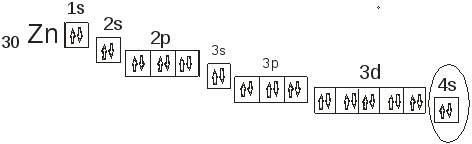 Схема строения атома zn