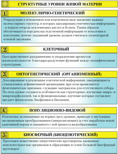 Структурные уровни живого. Структурные уровни живой материи. Уровни структурной организации живого. Структурные уровни в биологии.