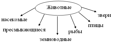 Группы животных схема