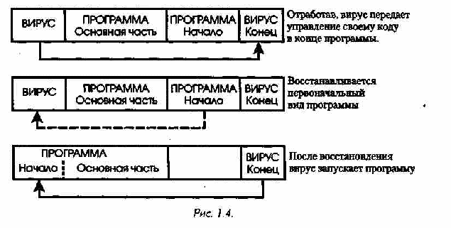 Схема компьютерного вируса