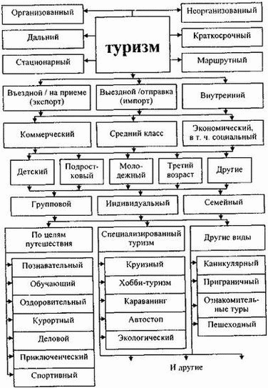 Виды туризма схема