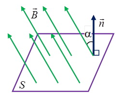 C:\Users\Наталья\Desktop\Img_Mg-04-001.jpg