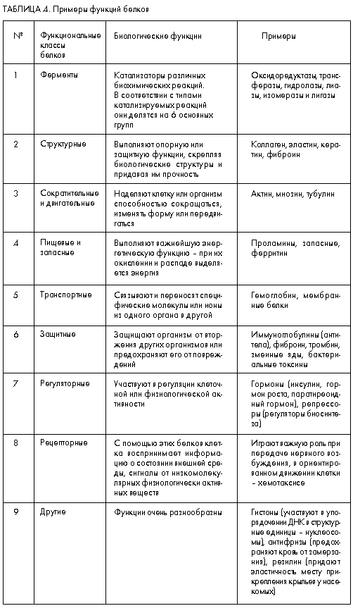 Таблица ролей. Биологические функции белков таблица. Таблица биологические функции белков характеристика. Биологическая роль белков таблица. Функции белков и характеристика таблица.