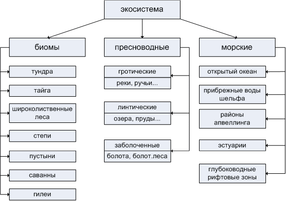 На основании материалов параграфа составьте схему основные типы измененных и нарушенных