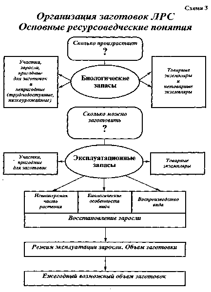 Схема товароведческого анализа