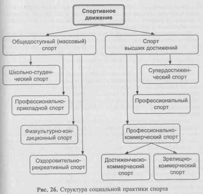 Типы спорта схема