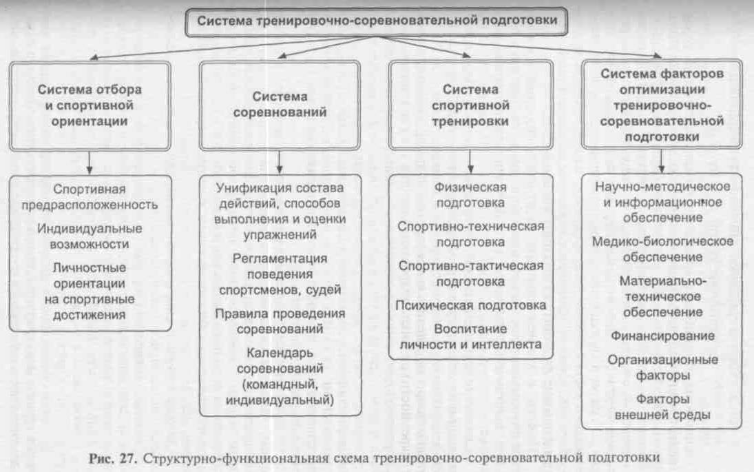 Какие мотивы выступают на передний план на этапе специализации в избранном виде спорта