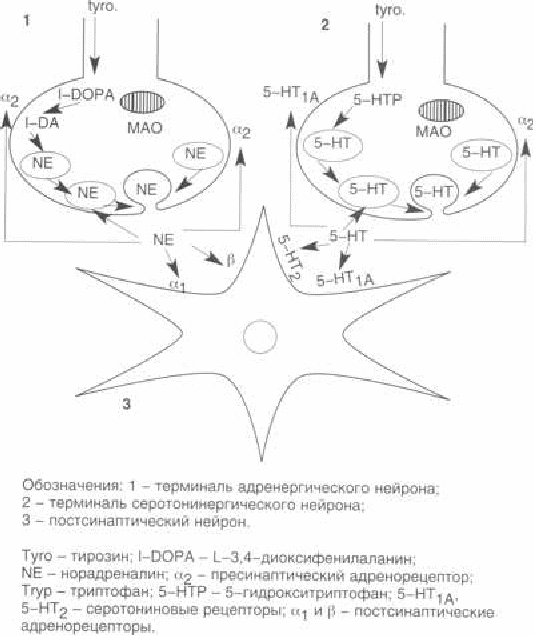 Аспект механизм. Типы Мао и обозначения.