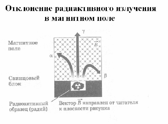 На рисунке 1 излучение радиоактивного вещества исследуется в магнитном поле какие лучи отклоняются в