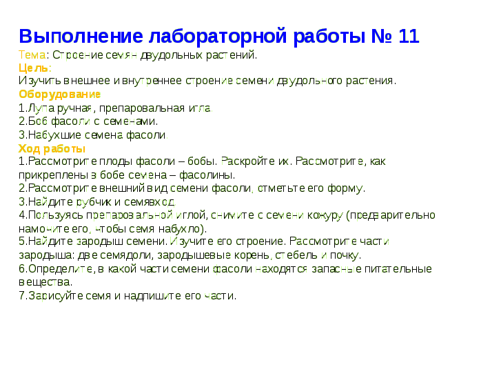 Лабораторная работа изучение строения семян