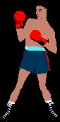 Описание: BOXER1