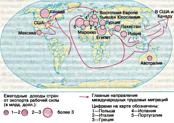 Современные международные миграции населения проект