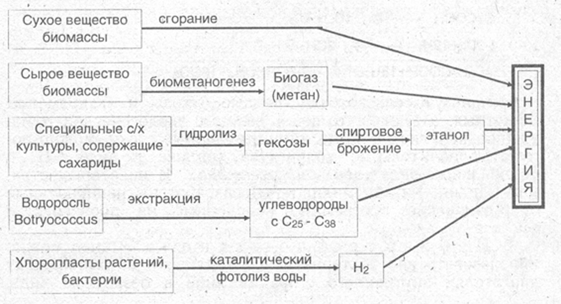 Рис-1