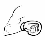 Как правильно держать кулак. Положение кулака в боксе. Как держать кулак в боксе.