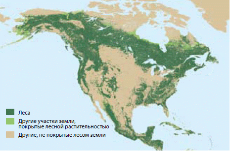Богатство северной америки. Карта лесов США. Лесные ресурсы Северной Америки на карте. Карта лесов Северной Америки. Лесные ресурсы США карта.