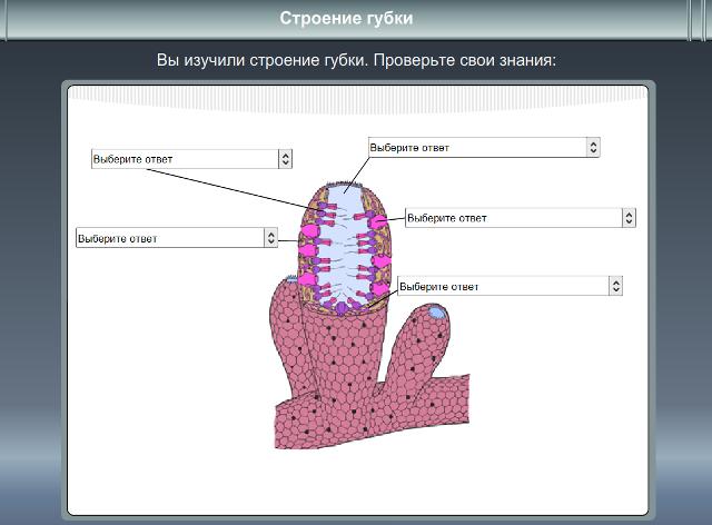 Схема питания губки