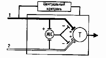 Блок схема болевого анализатора