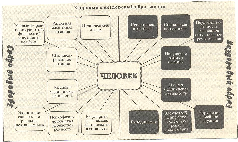 Схема жизни человека