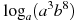 \log_a (a^{3}b^{8})