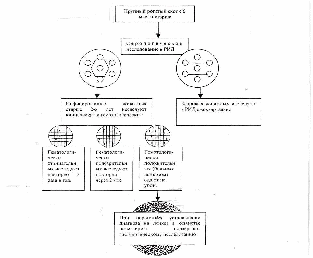 План ликвидации лейкоза