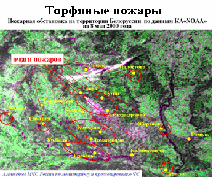 Карта торфяных болот