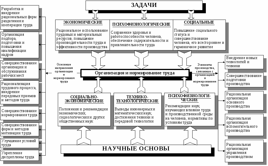 Социально экономических улучшений. Система нормирования труда схема. Задачи научной организации труда схема. Схема нормирования труда на предприятии. Организация труда на предприятии схема.