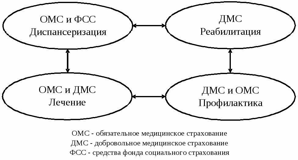 Дмс и омс презентация