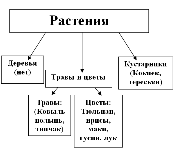 Растения и человек схема