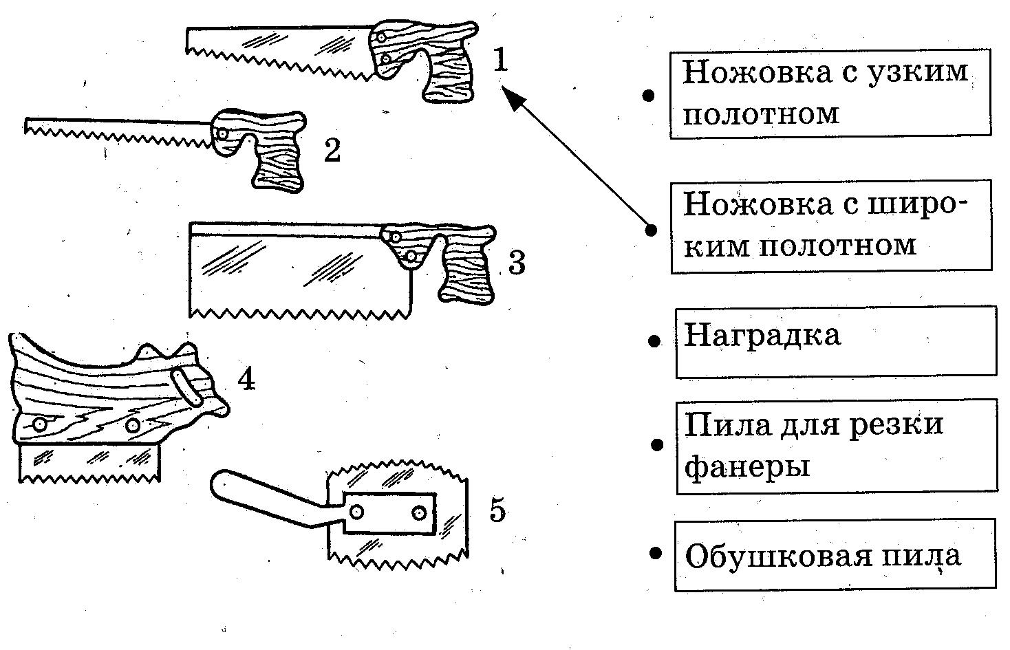 C:\Users\пользователь\Pictures\2013-11-22 пилы\пилы 001.jpg