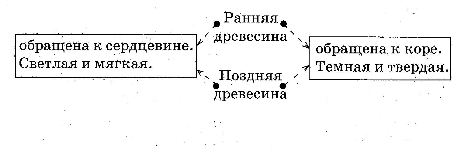 C:\Users\пользователь\Pictures\2012-11-22 пп\пп 001.jpg