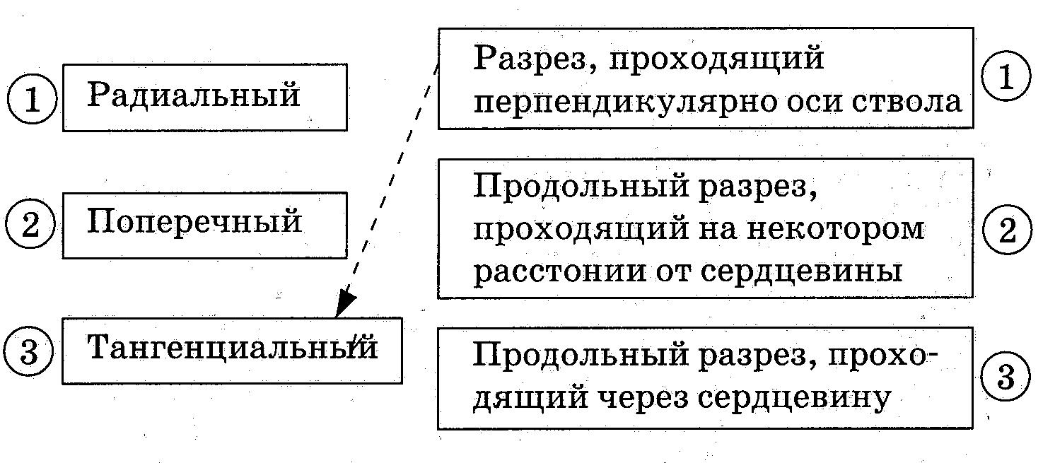 C:\Users\пользователь\Pictures\2012-11-22 р\р 001.jpg