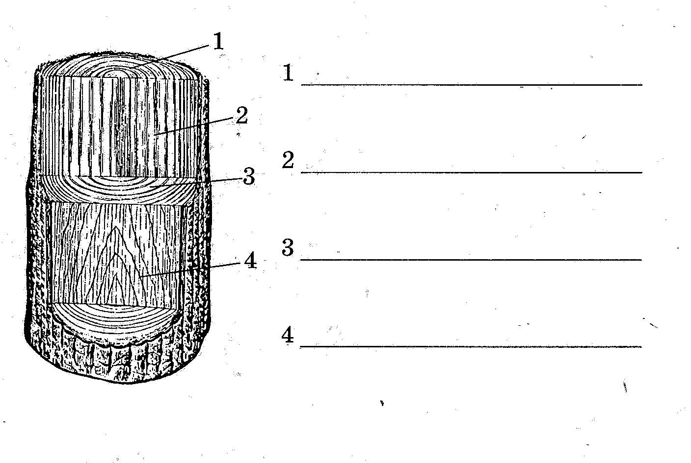 C:\Users\пользователь\Pictures\2012-11-22 разр\разр 001.jpg