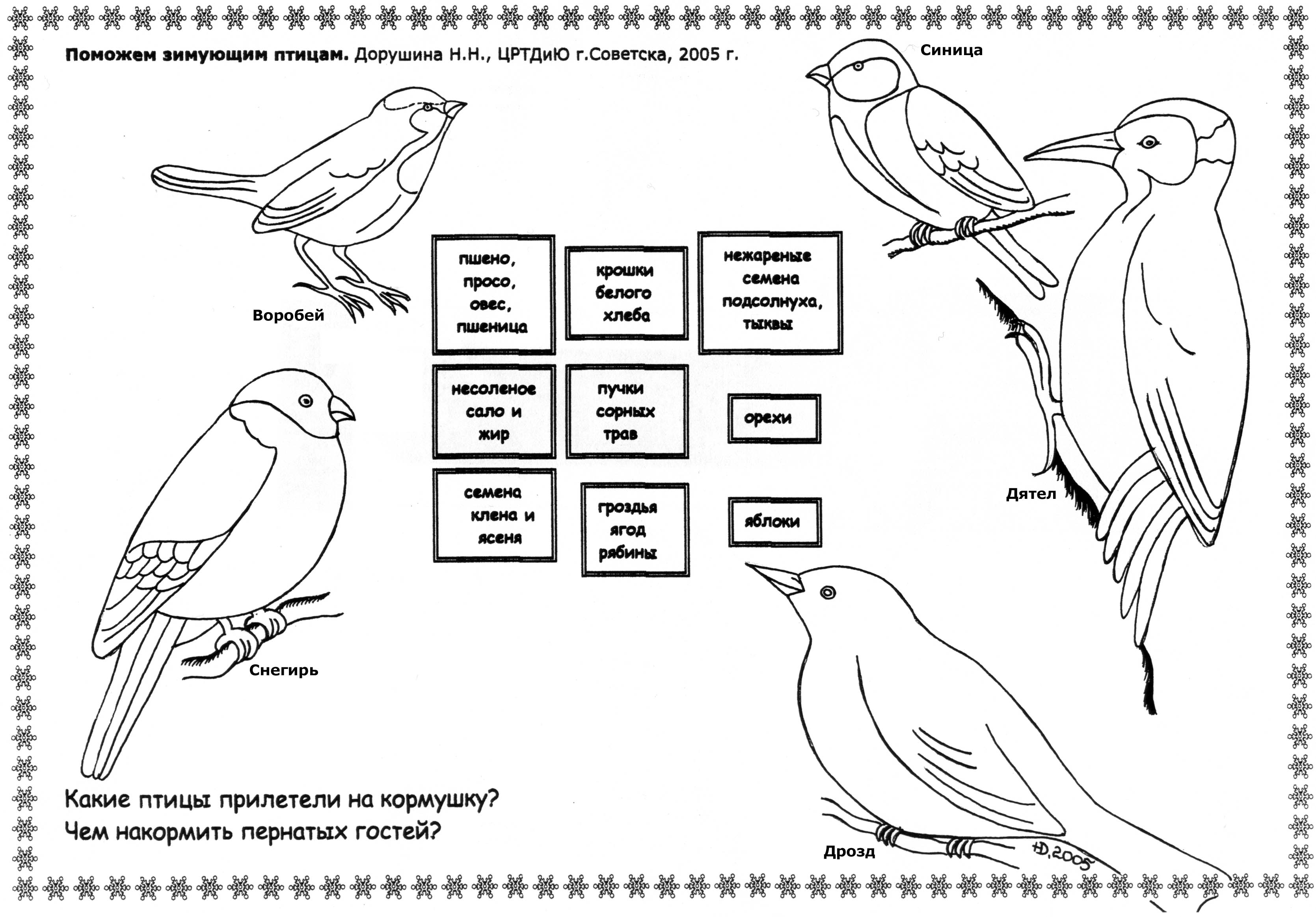 Задания для детей перелетные и зимующие птицы