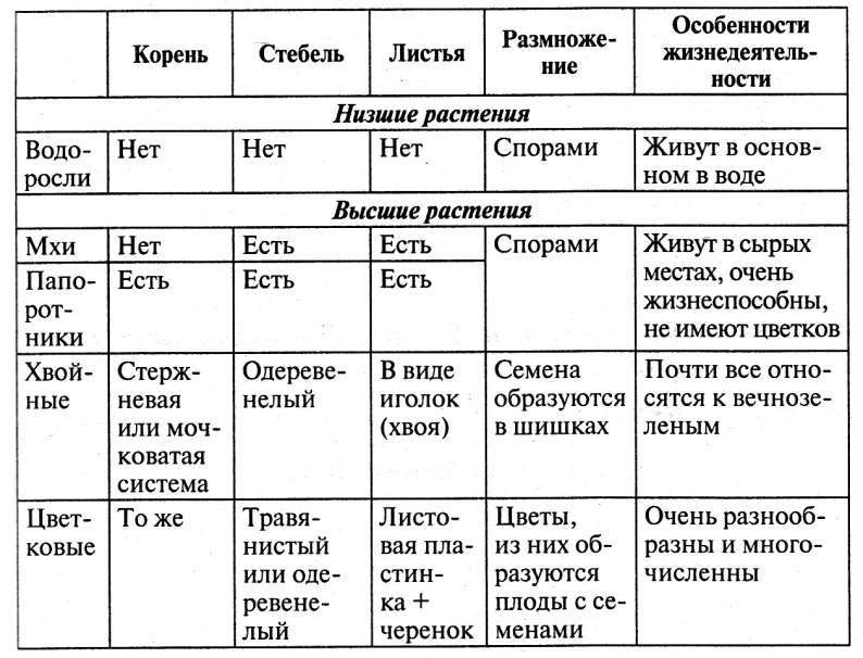 Тех карта окружающий мир 3 класс разнообразие растений