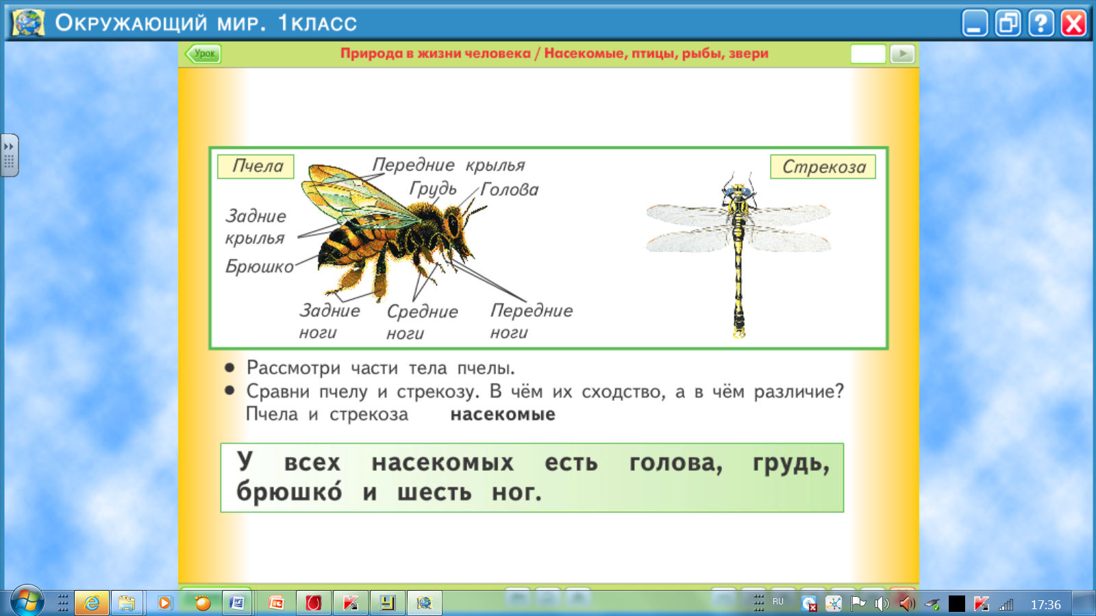 Конспект урока с презентацией 1 класс кто такие насекомые 1 класс