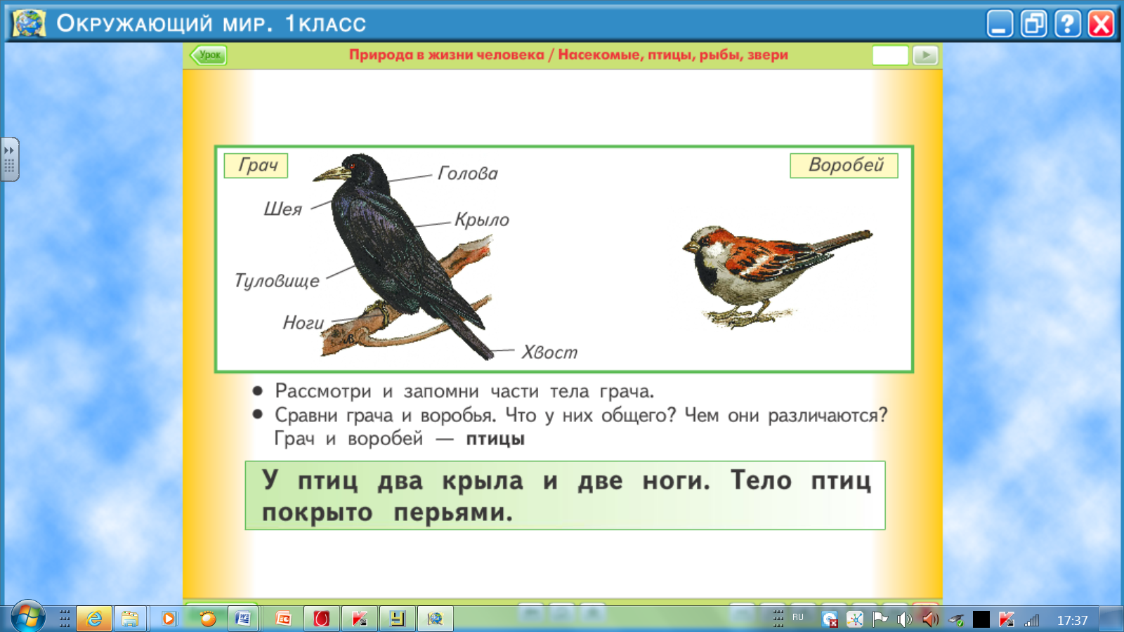 Окружающий мир презентация 1 класс кто такие птицы 1 класс