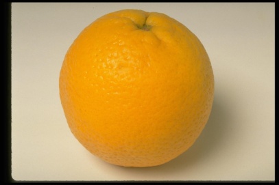D:\Ямал 2\Фрукты\437081.JPG