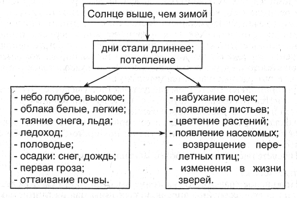 Весна 2 схема