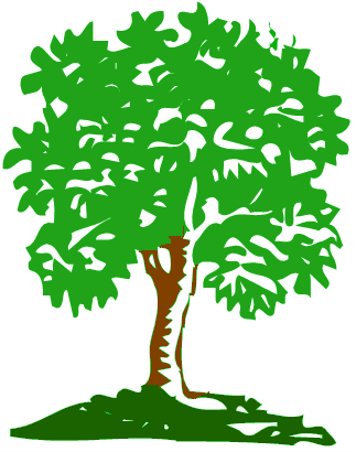 http://900igr.net/datai/okruzhajuschij-mir/Nezhivaja-priroda/0009-027-Svjaz-mezhdu-zhivoj-i-nezhivoj-prirodoj.png