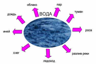 http://festival.1september.ru/articles/313950/img2.jpg